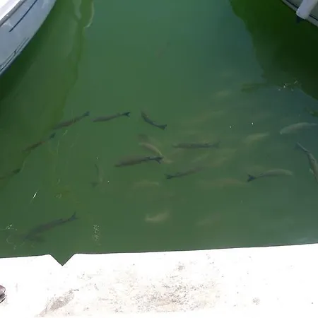 Mini Port Aiguadolc *