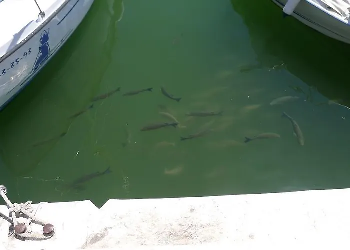 Mini Port Aiguadolc *